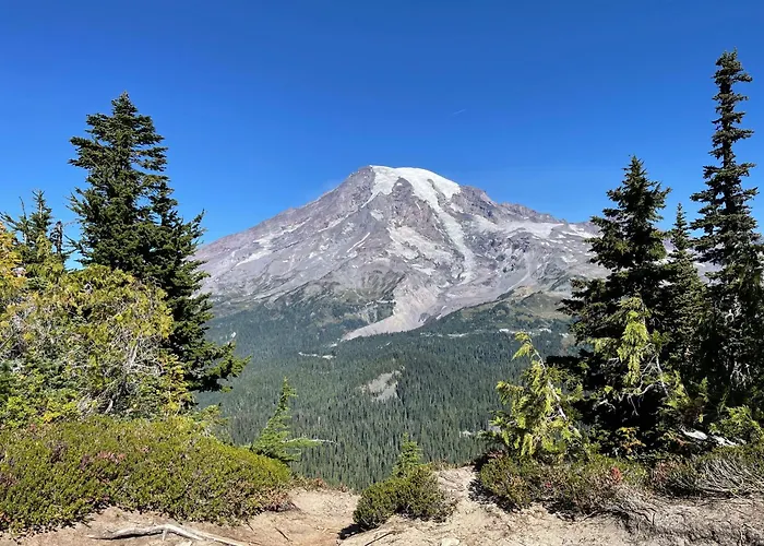 New Modern Cabin! 5Mi To Mt Rainier National Park! Hot Tub & Wifi