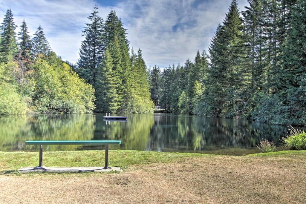 New Modern Cabin! 5mi To Mt Rainier National Park! Hot Tub & Wifi Ashford